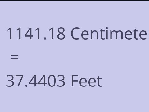 1141.18 CM TO FEET