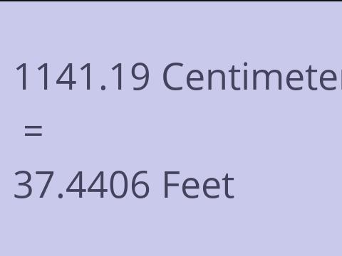 1141.19 CM TO FEET