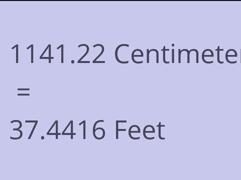 1141.22 CM TO FEET