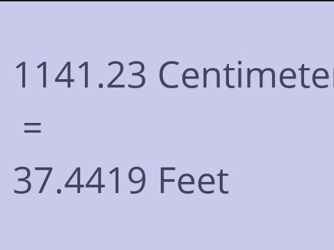 1141.23 CM TO FEET