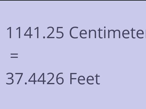 1141.25 CM TO FEET