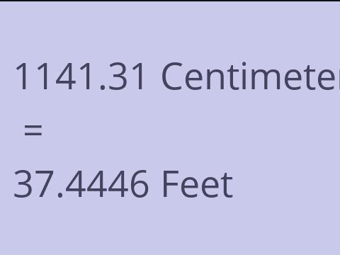 1141.31 CM TO FEET