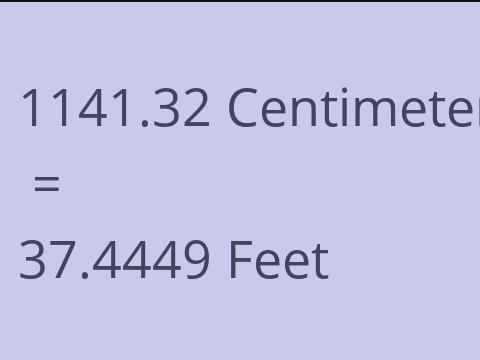 1141.32 CM TO FEET