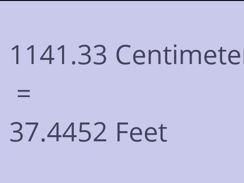 1141.33 CM TO FEET