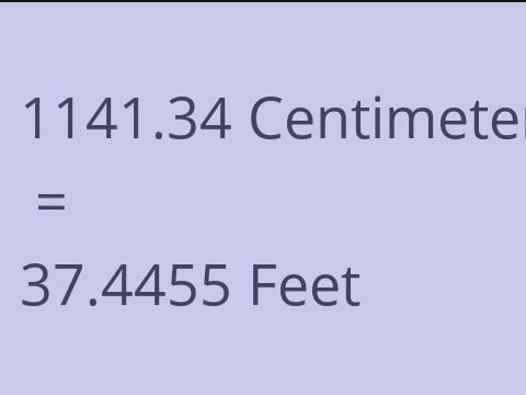 1141.34 CM TO FEET