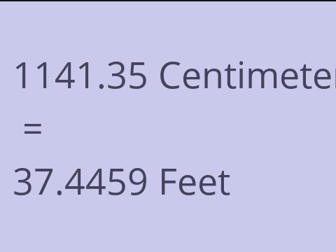 1141.35 CM TO FEET