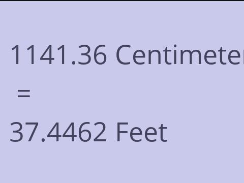 1141.36 CM TO FEET