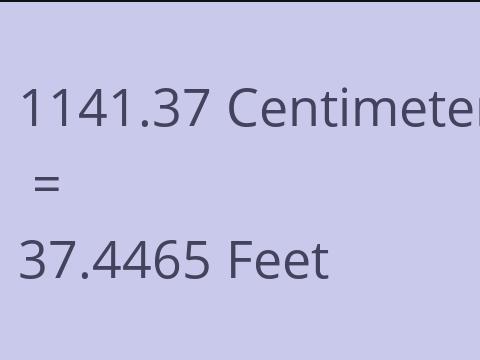 1141.37 CM TO FEET