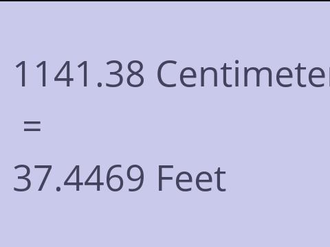 1141.38 CM TO FEET