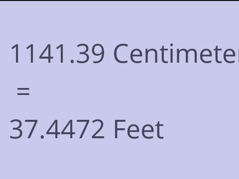 1141.39 CM TO FEET