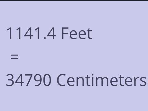 1141.4 FEET TO CM