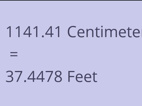 1141.41 CM TO FEET