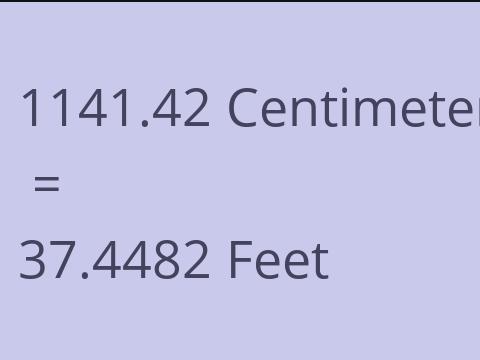 1141.42 CM TO FEET