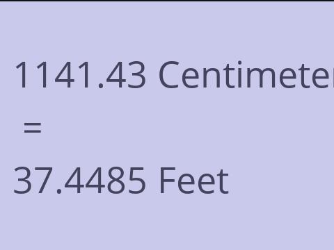 1141.43 CM TO FEET