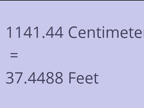 1141.44 CM TO FEET