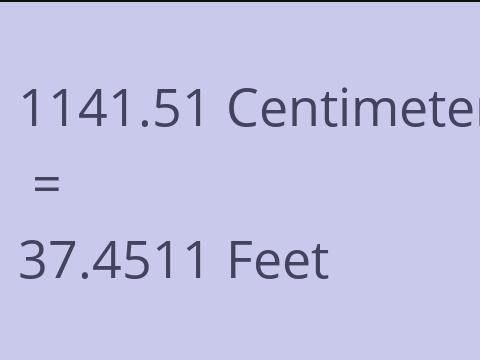 1141.51 CM TO FEET