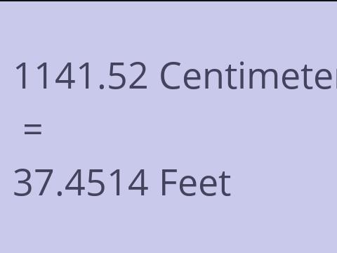 1141.52 CM TO FEET