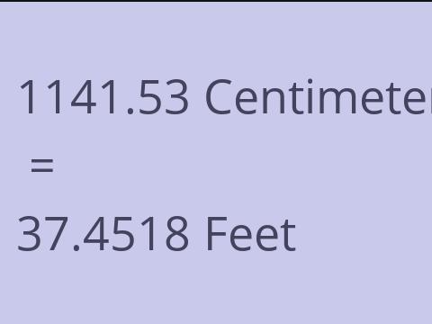 1141.53 CM TO FEET