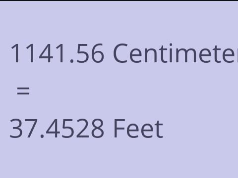 1141.56 CM TO FEET