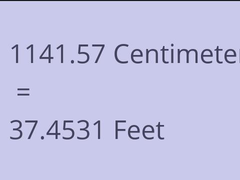 1141.57 CM TO FEET