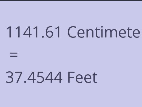 1141.61 CM TO FEET