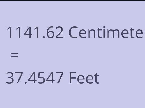 1141.62 CM TO FEET