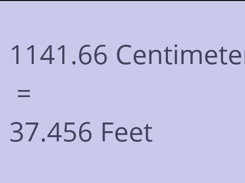 1141.66 CM TO FEET