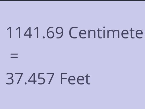 1141.69 CM TO FEET