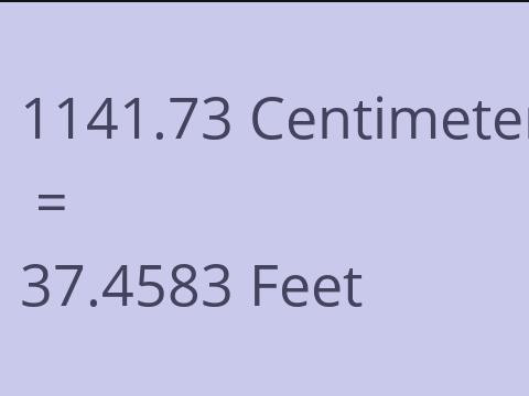 1141.73 CM TO FEET