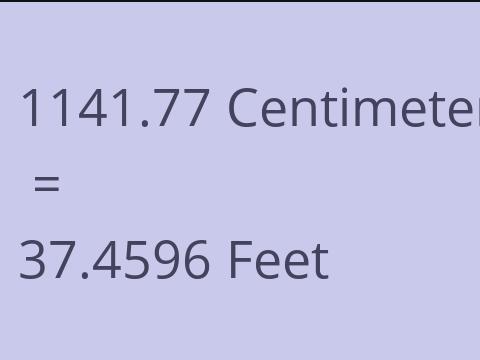 1141.77 CM TO FEET