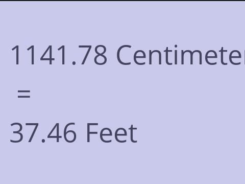 1141.78 CM TO FEET