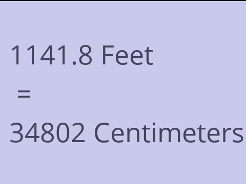 1141.8 FEET TO CM