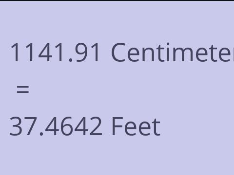 1141.91 CM TO FEET