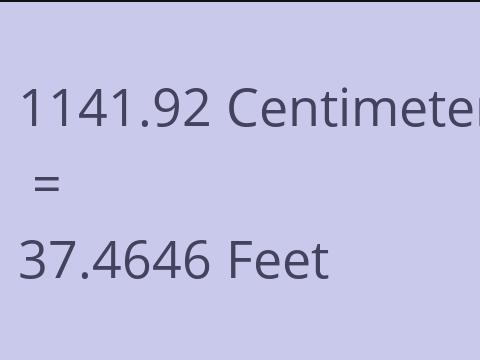 1141.92 CM TO FEET