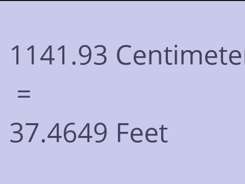 1141.93 CM TO FEET