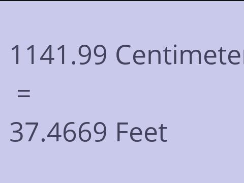 1141.99 CM TO FEET