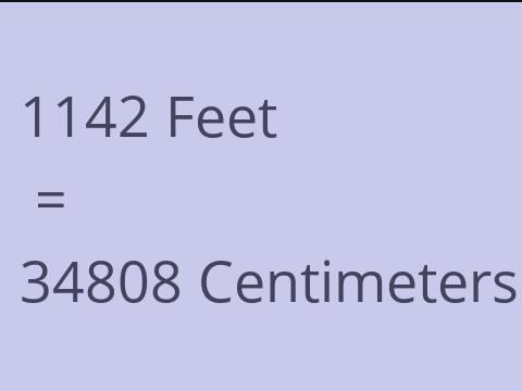 1142 FEET TO CM