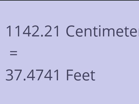 1142.21 CM TO FEET