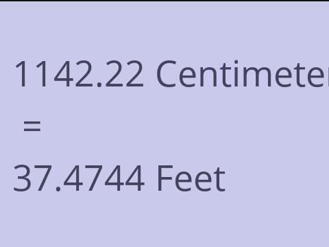 1142.22 CM TO FEET