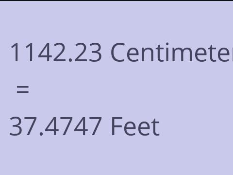 1142.23 CM TO FEET