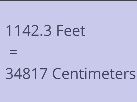 1142.3 FEET TO CM