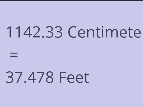 1142.33 CM TO FEET