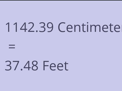 1142.39 CM TO FEET