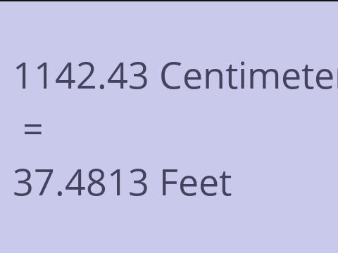 1142.43 CM TO FEET