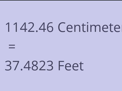 1142.46 CM TO FEET