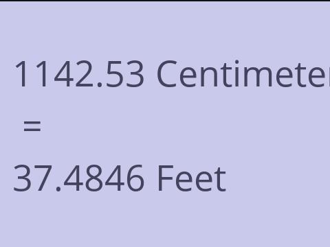 1142.53 CM TO FEET