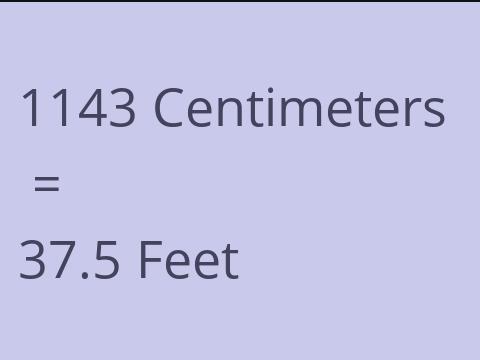 1143 CM TO FEET