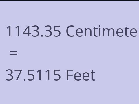 1143.35 CM TO FEET