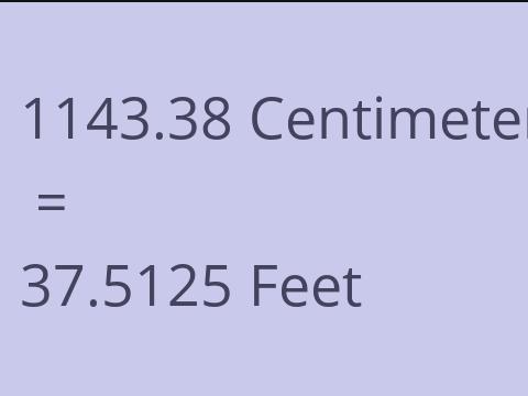 1143.38 CM TO FEET