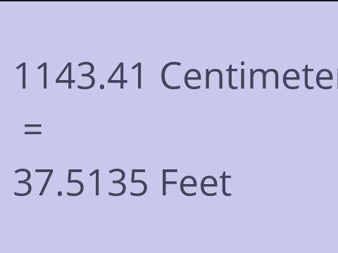 1143.41 CM TO FEET